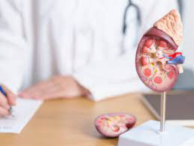 kidney Shrinkage: 
