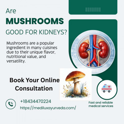 Are Mushrooms Good for Kidneys?: 