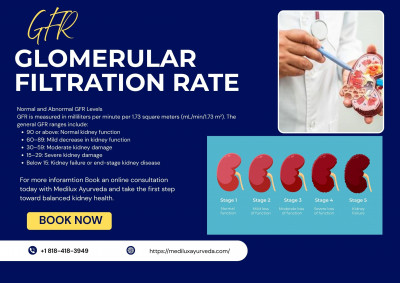 Glomerular Filtration Rate (GFR): 