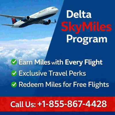 Delta Sky Miles Program: 