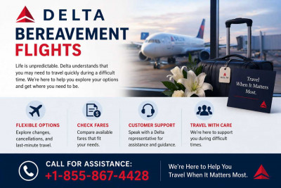 Delta Bereavement Flight: 