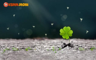 5 Phuong phap choi xo so mien Bac hieu qua tu cao thu ban nen biet: 