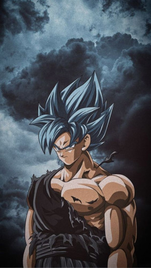 Goku Ultra Instinct Iphone Wallpaper: 