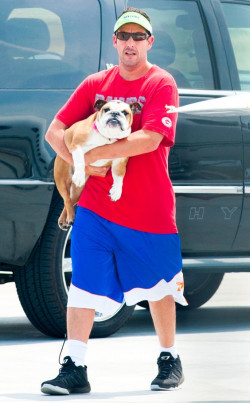 Throw on a red tee and blue shorts like this comedy icon!: Motor vehicle,  adam sandler  