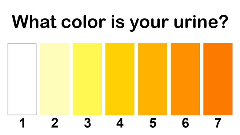 This What The Color of Your Urine Says About Your Health!: 