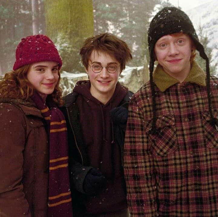 Hogwarts School of Witchcraft and Wizardry. harry potter, hermione granger, and emma watson image: harry potter,  Hermione Granger,  Harry Porter,  Harry Botter,  Ron Weasley,  Draco Malfoy  