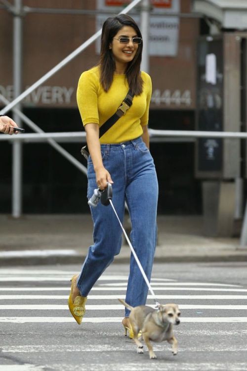 Priyanka chopra dog: New York,  Yellow Outfits Girls,  Priyanka Chopra,  Parineeti Chopra,  Nick Jonas,  Joe Jonas  