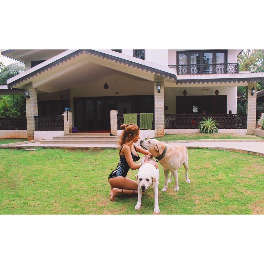 Sakshi Chopra Instagram Pictures, Dog breed: Dog breed,  Hot Instagram Models  