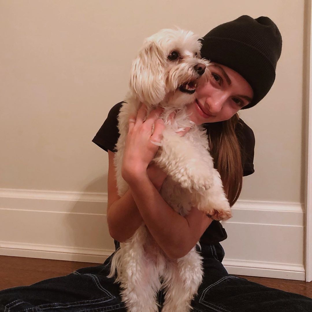 Lauren Orlando fur clothing ideas, Girls Hairstyle, companion dog: Dog breed,  Lauren Orlando Instagram  