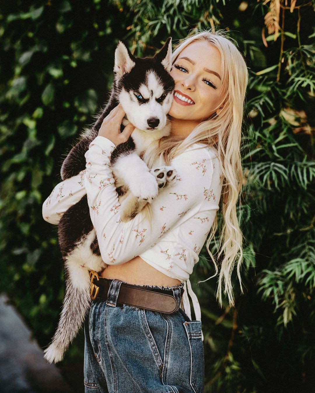 Zoe Laverne fur colour ideas, beautiful girls pictures, outfit ideas: Siberian Husky,  Zoe Laverne TikTok  