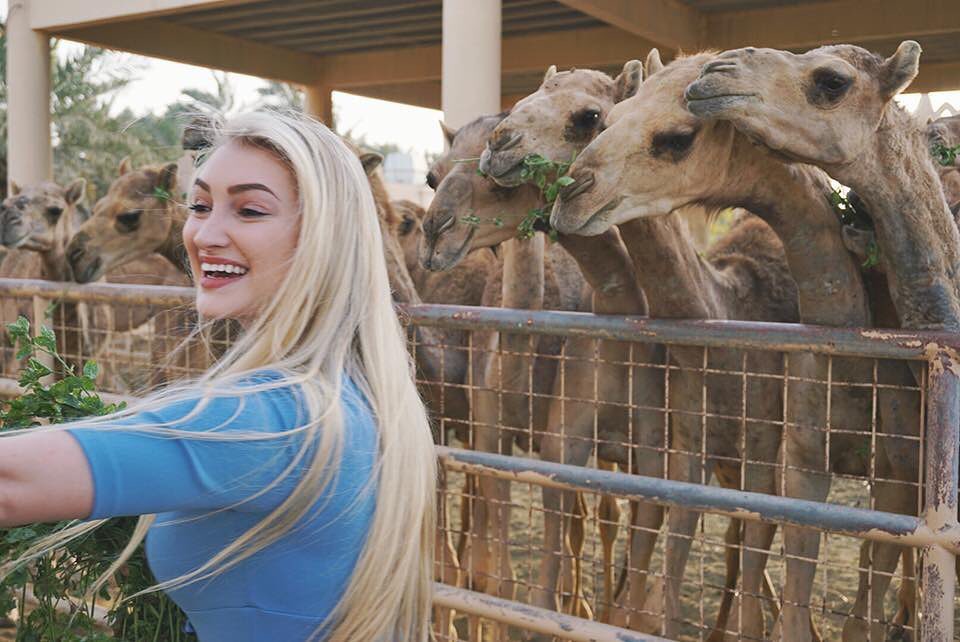 Anna Faith, wildlife, giraffe, plant: Instagram girls,  Anna Faith Instagram  