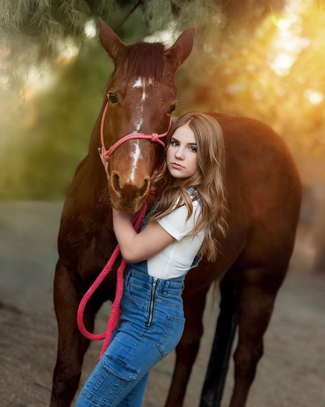 Piper Rockelle, horse supplies, horse tack, vertebrate: Piper Rockelle Instagram  