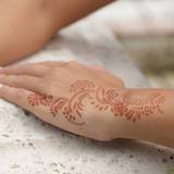 Versatile DIY Henna Tattoos for Beginners: DIY Henna Tattoos  