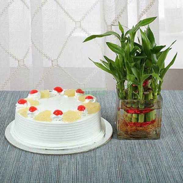 Pineapple Cake N Lucky Bamboo: 