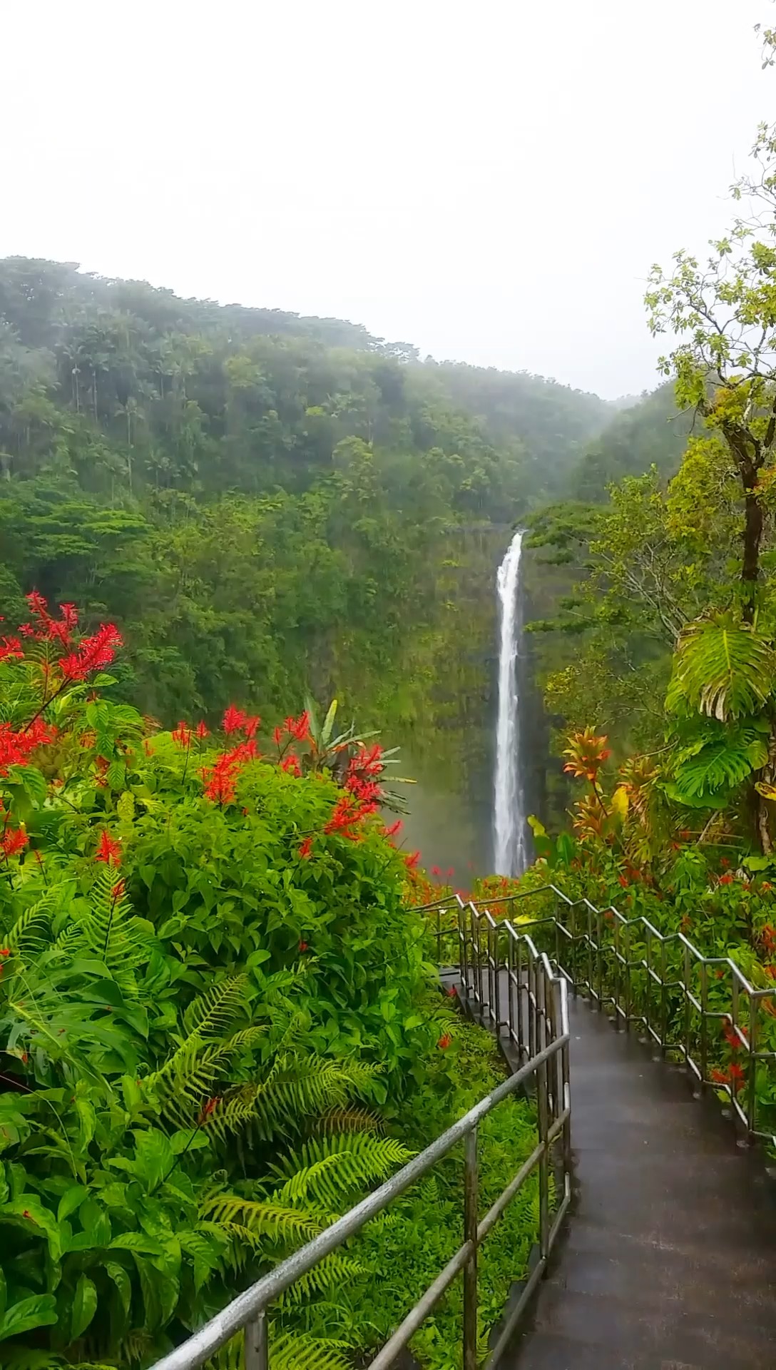 Outfit Pinterest Travel valdivian temperate rain forest: Travel photography,  Travel Outfits  