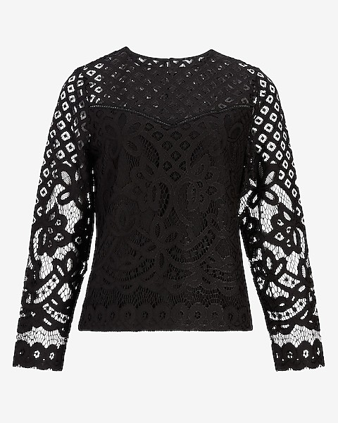 Crochet Lace Crew Neck Top | Express | Long Sleeve