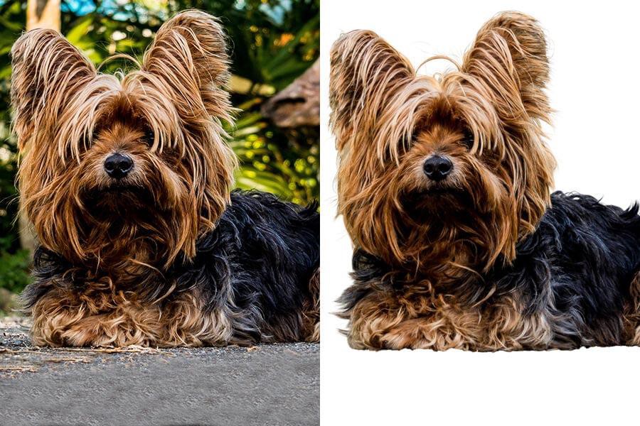 Clipping path service usa: 