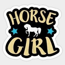 im just a girl who loves horses. have 20 + horses!!!!!!!!!!!!!!. love them