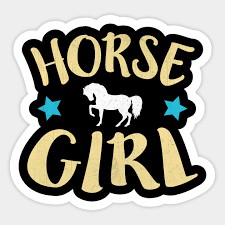 im just a girl who loves horses. have 20 + horses!!!!!!!!!!!!!!. love them: 