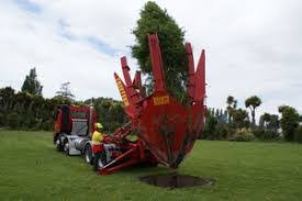 Find out Tree Removal in Tauranga
