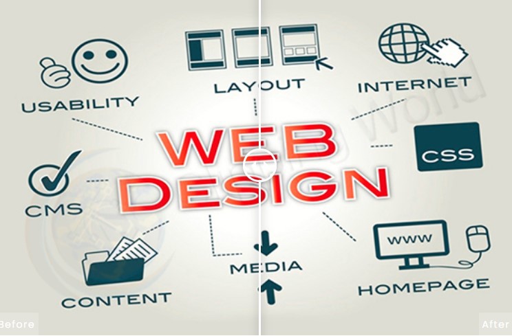 Facts About Web Development Service At Clipping World: 