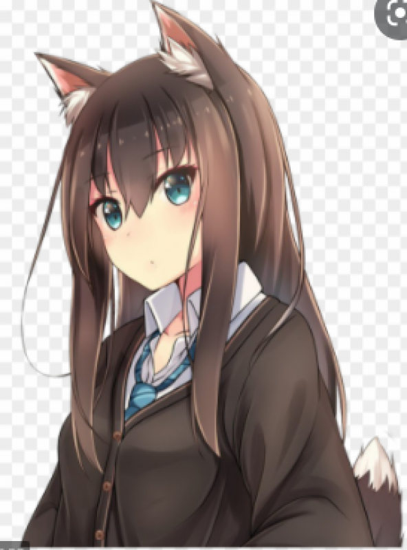 Anime wolf girl: Cute Anime,  Anime Girl,  Anime Characters,  Anime Drawing,  Pretty Anime  