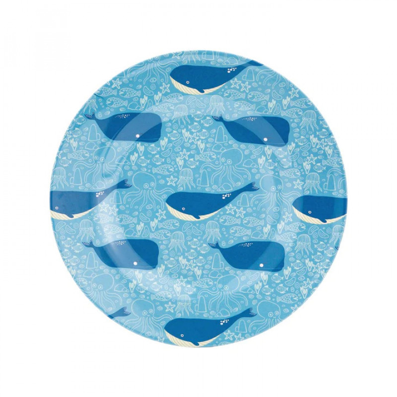 Colourful Dinner Plates for Kids Camping & Picnic: 