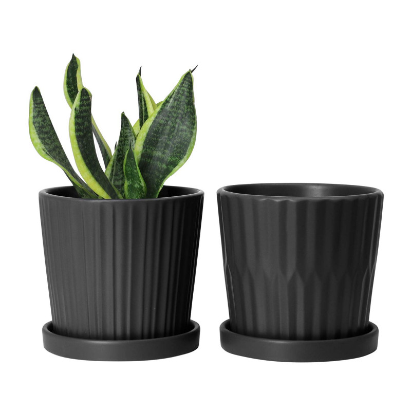 Classic Plant Pots | the Jungle Collective: 