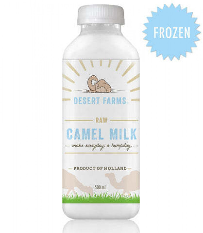 Camel Milk for Improving Gut Health: 