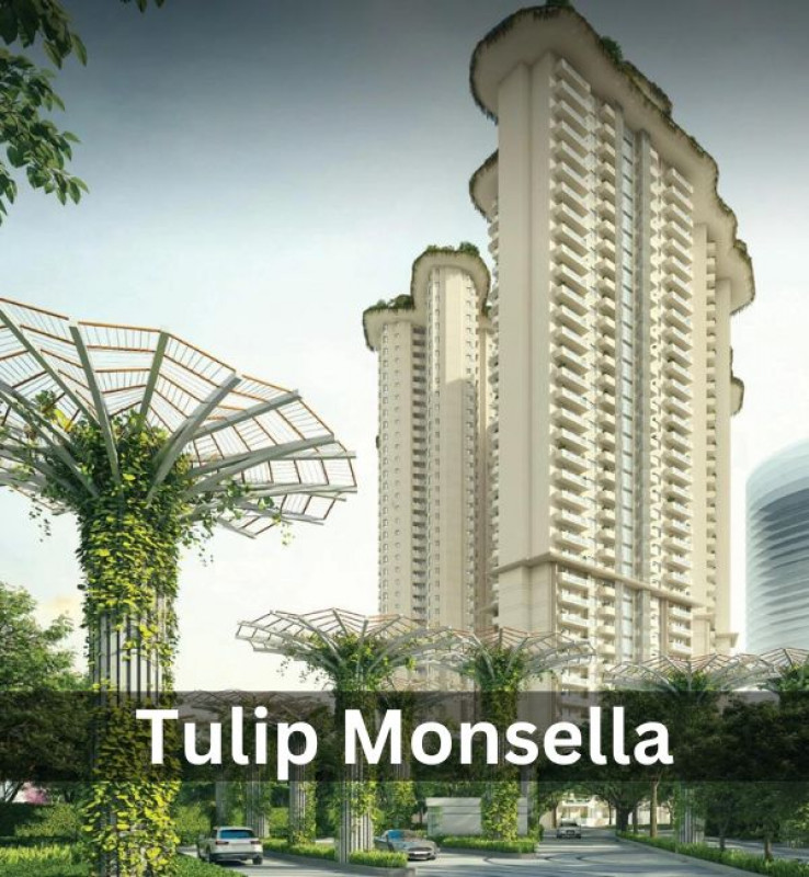 Tulip Monsella: 