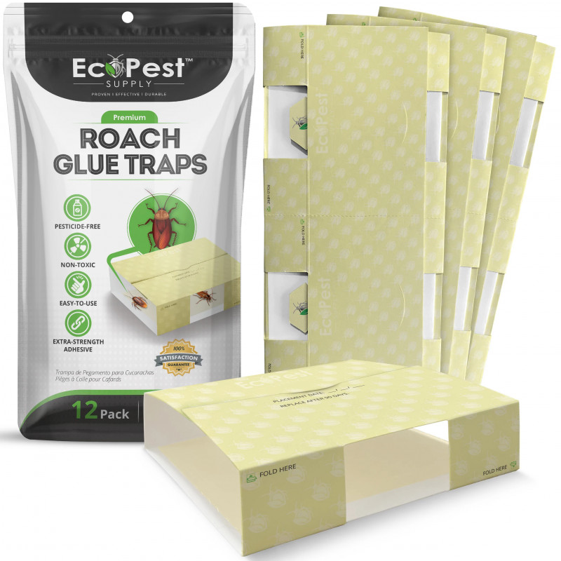 Use Cockroach Glue Traps To Capture And Trap Cockroaches!: 