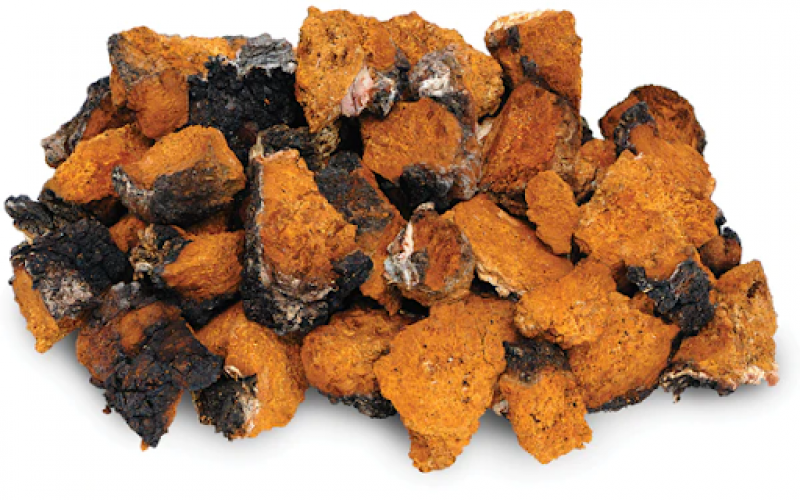 What are the Benefits of Chaga: 