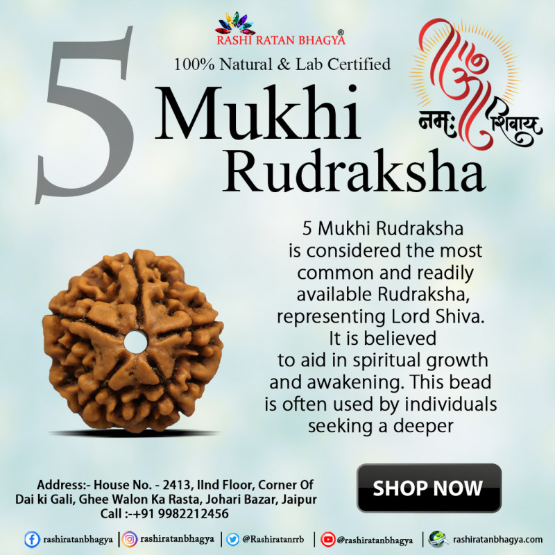 6 Mukhi Rudraksha Online best price in India.: 