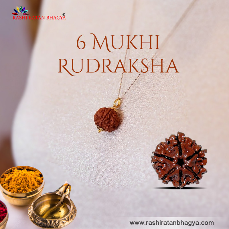 Buy 6 Mukhi Rudraksha Online in India: 