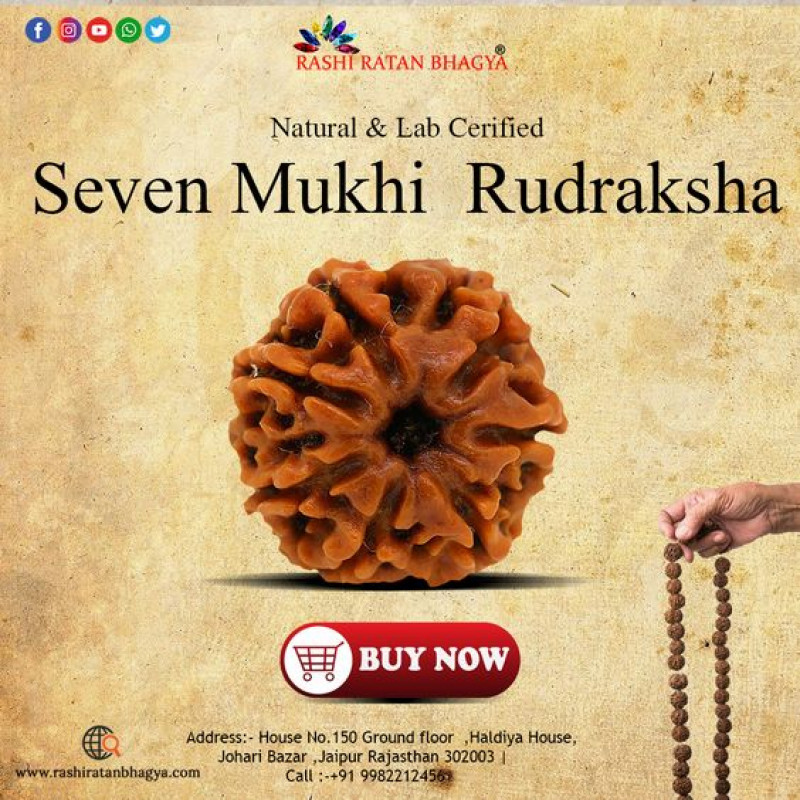 Buy 7 Mukhi Rudraksha From Rashi Ratan Bhagya At Genuine: 