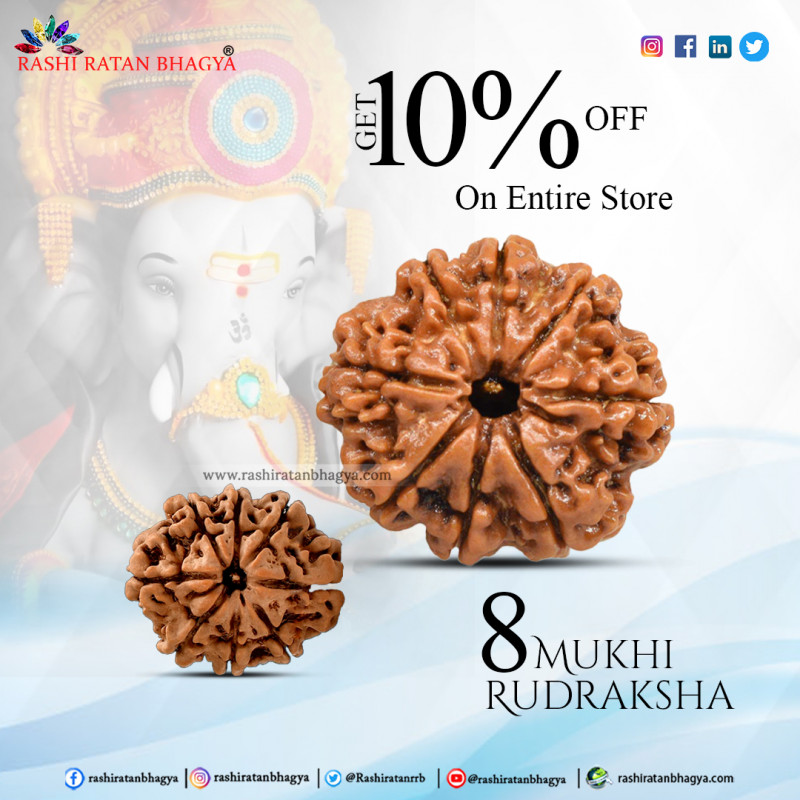 Offer by rashi ratan bhagya :10 % of on  8 Mukhi Rudraksha: 