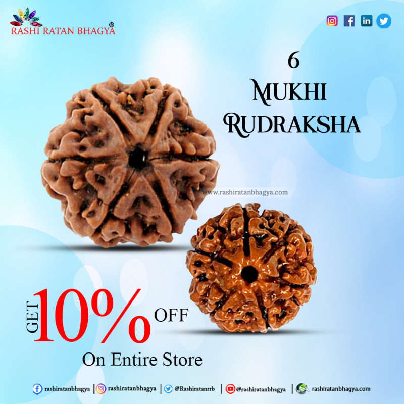 Shravan month sale get 10% discount on 6 Mukhi Rudraksha: 