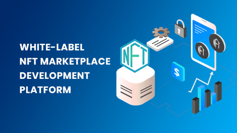 White Label NFT Marketplace - Coin Developer India: 