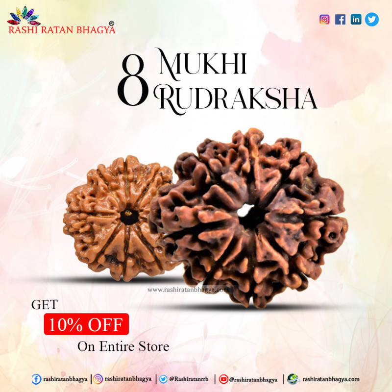 Get 10% Discount Buy 8 Mukhi Rudraksha Beads this Shravan Maas: 