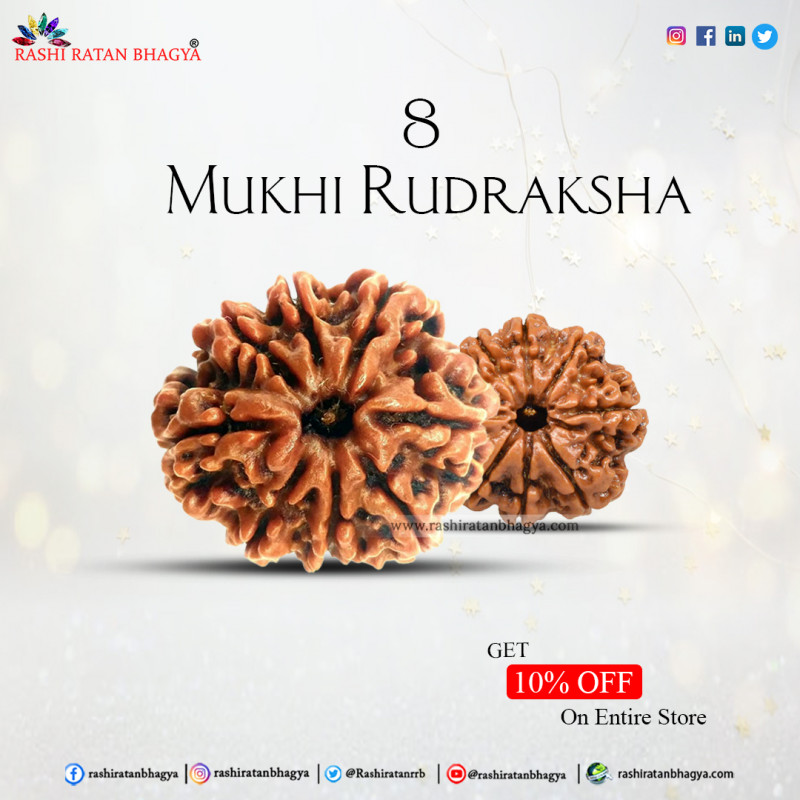 Get 10% Off on 8 Mukhi Rudraksha Online in India: 