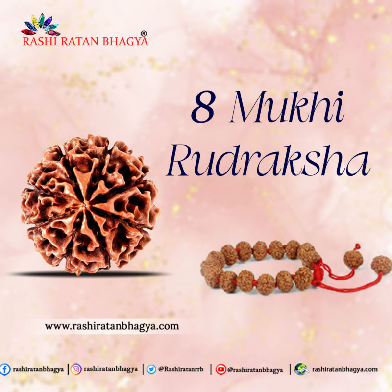 Original 8 Mukhi Rudraksha Online Best Price in India.: 