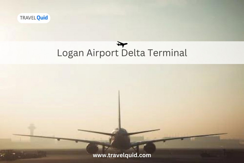 Logan Airport's Delta Terminal: Your Gateway to Smooth Travel: 