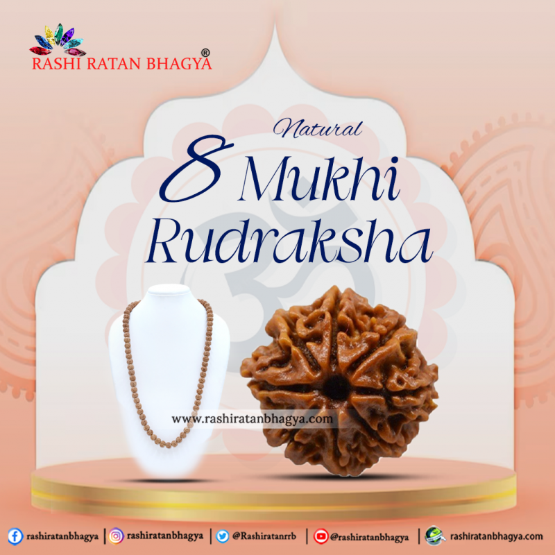 Original 8 Mukhi Rudraksha Online Best Price in India.: 