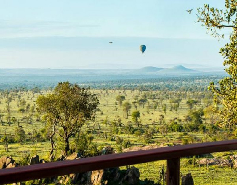 Embark on a Human Odyssey through the Four Seasons Serengeti: A Tapestry of Timeless Beauty
