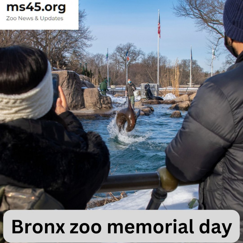 Bronx zoo memorial day: 
