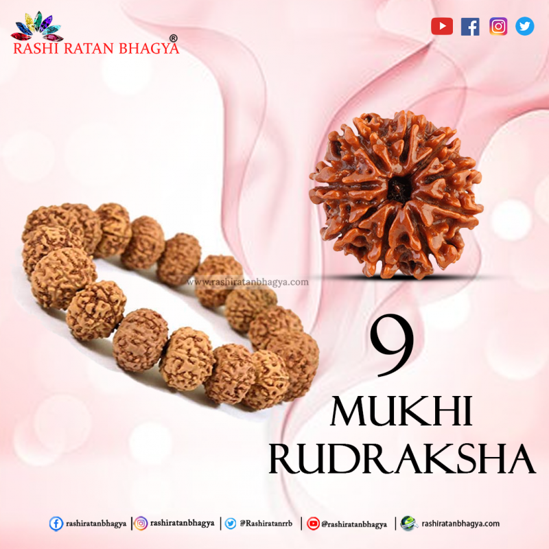 Buy 9 Mukhi Rudraksha From Rashi Ratan Bhagya At Genuine: 
