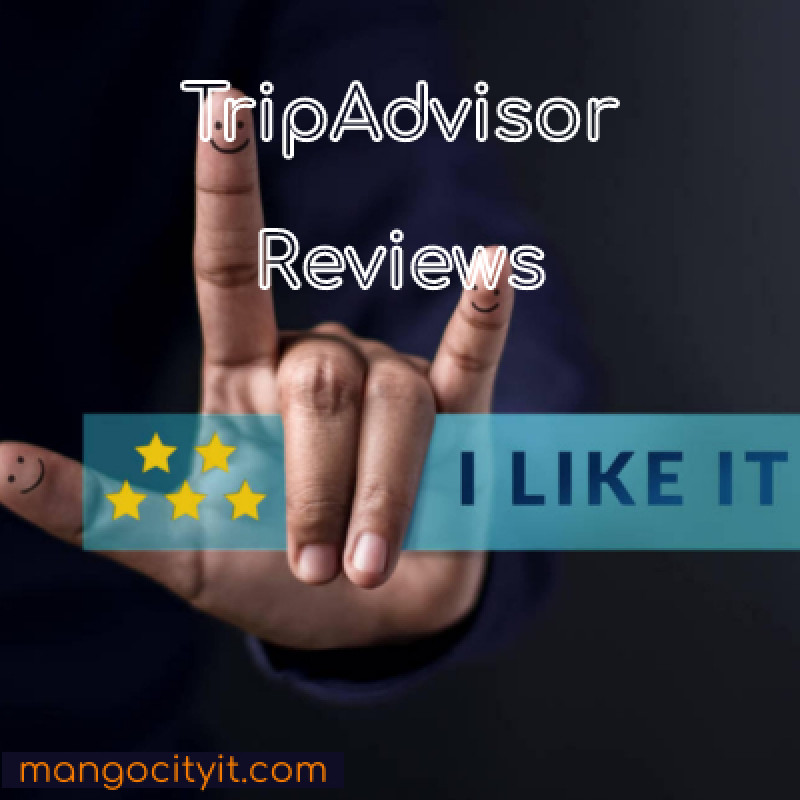 BUY ZOMATO REVIEWS: 