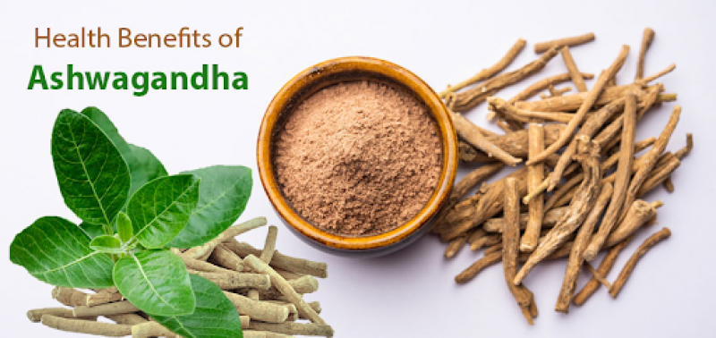Unlocking the Potential: Exploring the Health Benefits of Ashwagandha: 