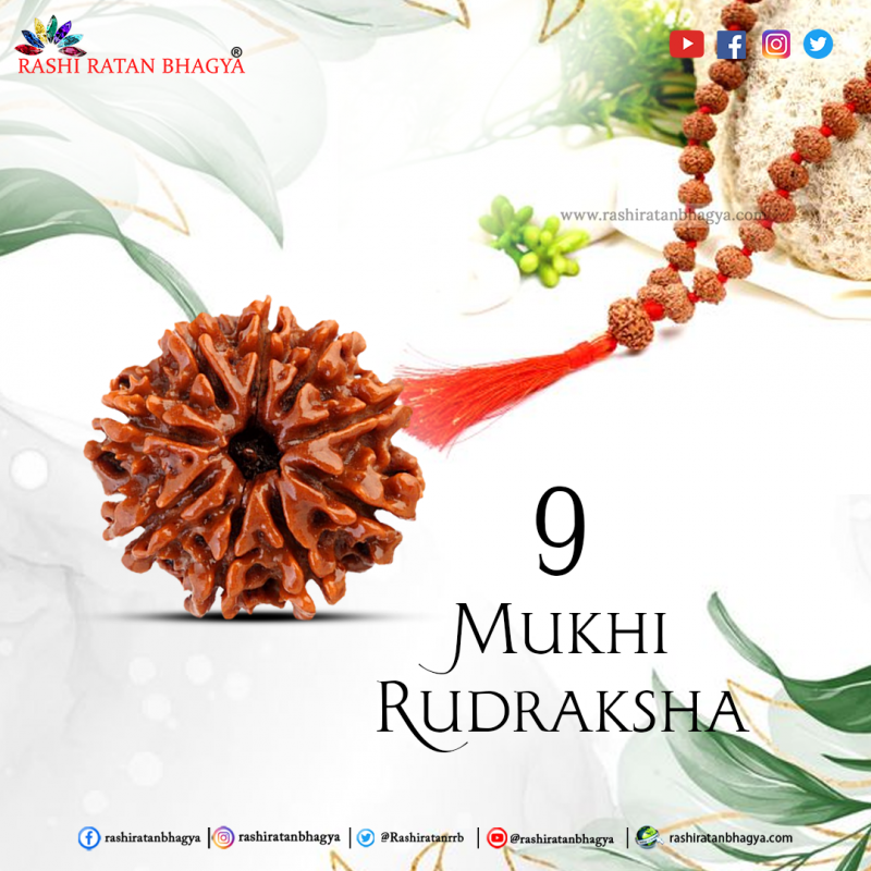 Original 9 Mukhi Rudraksha Online Best Price in India.: 