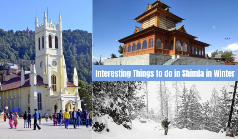 Interesting Things to do in Shimla in Winter: 